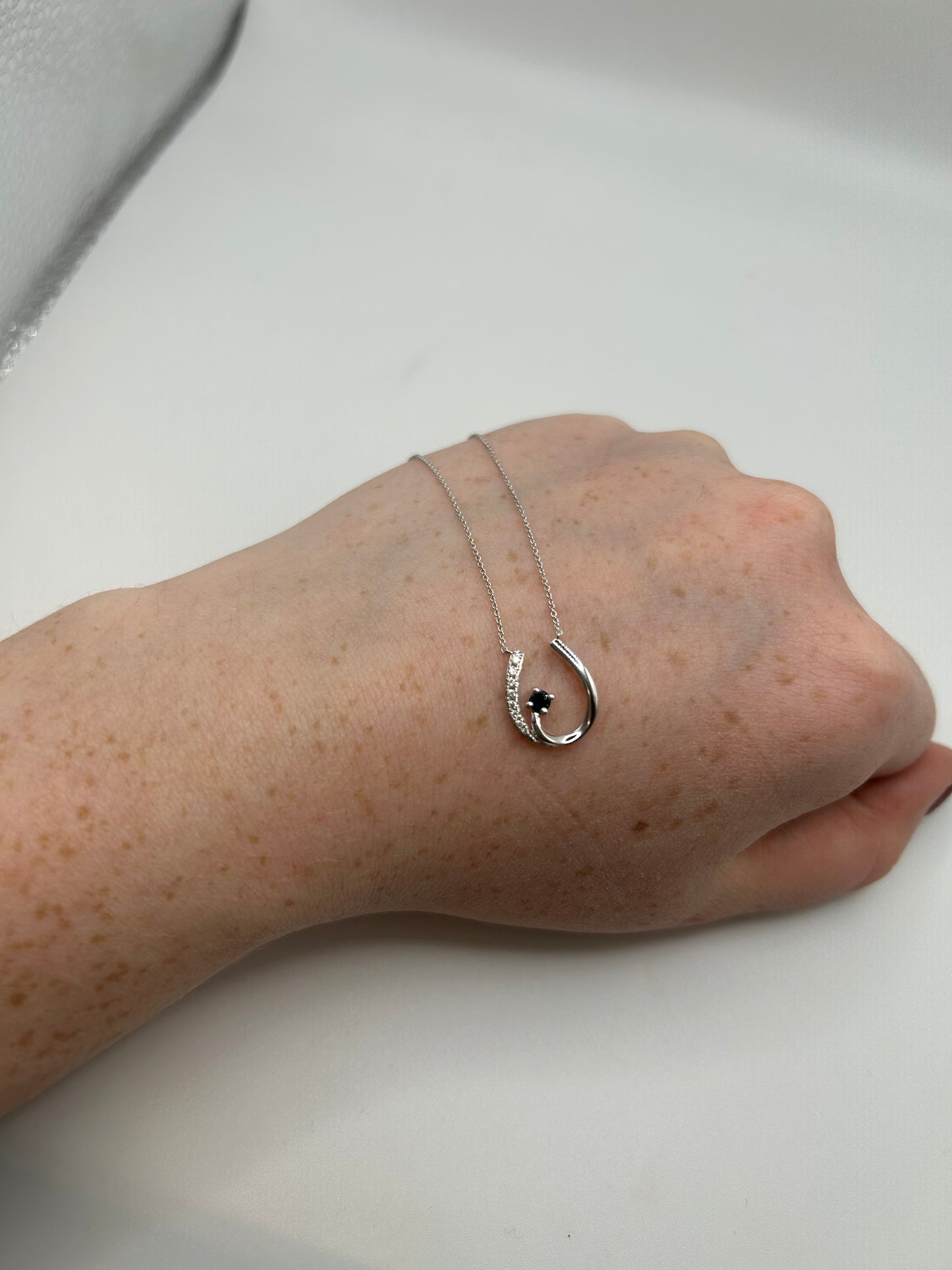 9ct White Gold Sapphire and Diamond Horseshoe Necklate